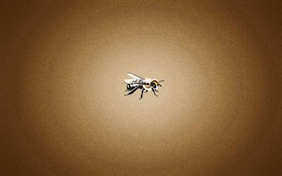 mosca, inseto, minimalismo