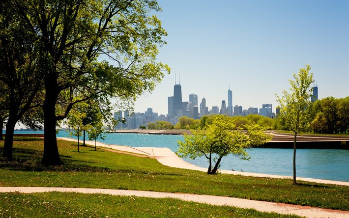 parque, faixa, chicago, eua, paisagem