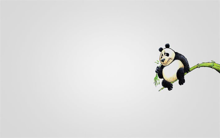 panda, gren, minimalism
