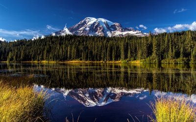 foresta, ranieri, washingtoon, usa