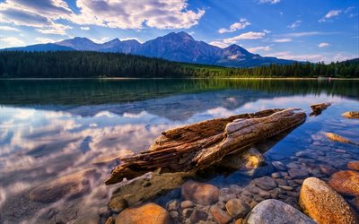 forest, the lake, mountains, log, summer, canada