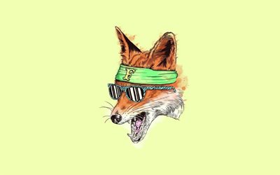 fox, bandana, minimalismo