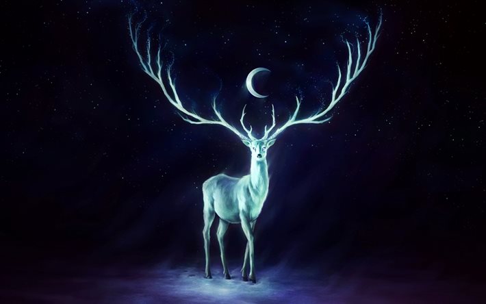 deer, night, abstraci