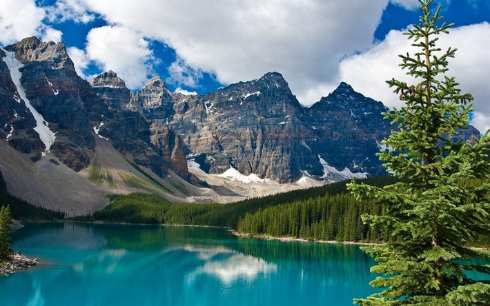 mountains, moraine lake, rock, national park, banff, forest, canada