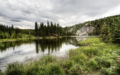 o lago, alasca, eua, floresta, lago ferradura
