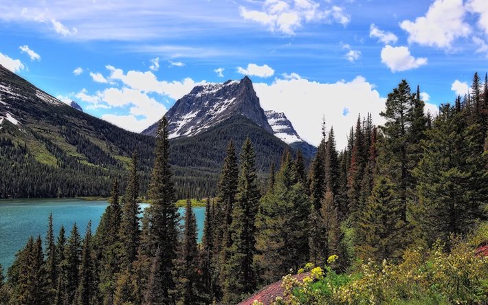 parco nazionale, foreste, ghiacciai, montagne, usa