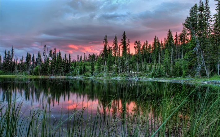 alberta, lago, canada, foresta, tramonto