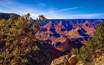 ग्रांड canyon, संयुक्त राज्य अमेरिका, परिदृश्य, rock, arizona