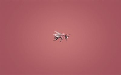 l'abeille, le minimalisme, arrière-plan rose