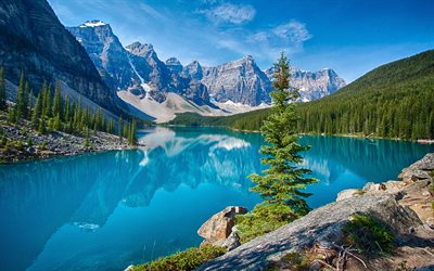 Evet, göl, yaz, ağaç, dağlar, Kanada, Evet göl