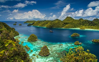 västra papua, raja ampat, indonesien, hav, sommar, öar