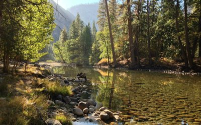 yosemite valley, usa, summer, forest, river