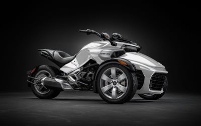 three-wheeled motorcycle, 2015, the bike