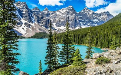 Evet, göl, yaz, orman, Kanada, Evet lake, hdr