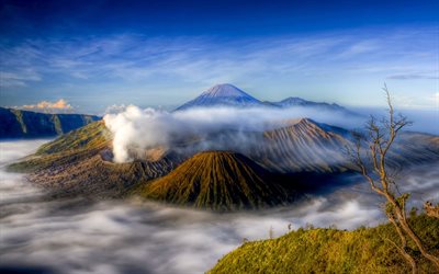 les nuages, les montagnes, l'indonésie, le volcan bromo, le mont bromo, indonésie