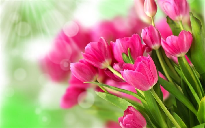 ramo de flores, tulipanes, rosas, los rayos del sol