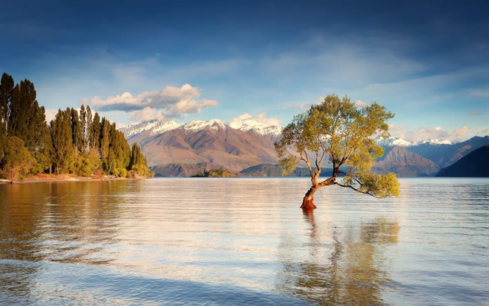 湖wanaka, 朝, 島の南, 山々, ツリー, ニュージーランド