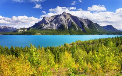 banff, parque nacional, montanhas, lago abraham, canadá