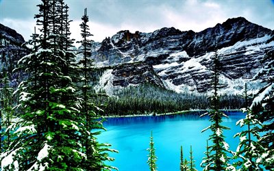 o lago, inverno, yoho, montanhas, parque nacional, floresta, canadá