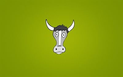 bull, minimalism, green background, horns