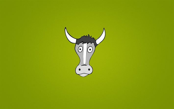 touro, minimalismo, fundo verde, chifres