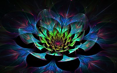 flor de loto, la flor, los fractales, la flor de loto