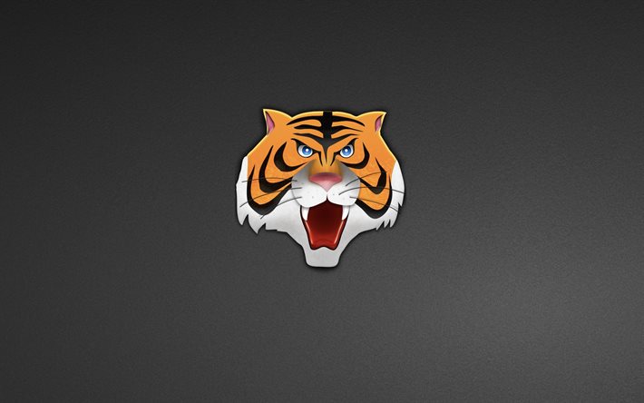 minimalism, head, tigre