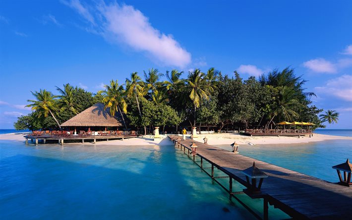 tropikerna, maldiverna, bron, ön