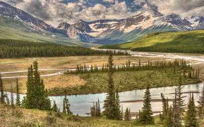 montagnes, à banff, en alberta, rivière, canada, alberta