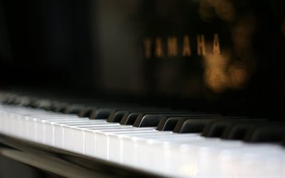 البيانو, مفاتيح, خطة, ياماها