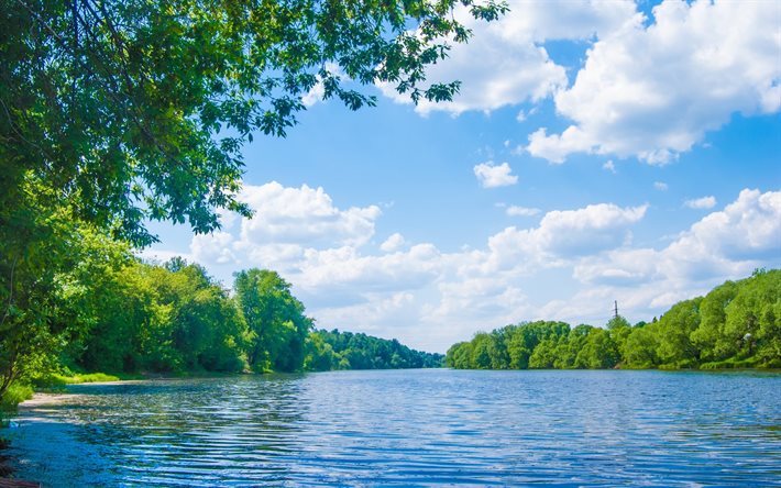 shore, summer, river, trees