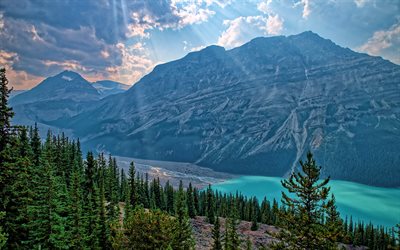 4k, lac peyto, rayons de soleil, l'été, hdr, forêt, parc national banff, monuments canadiens, montagnes, photos avec des lacs, belle nature, banff, canada, alberta, lacs bleus