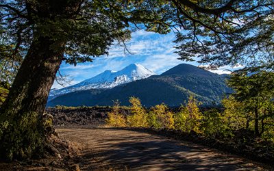ande, 4k, estate, sera, montagne, bellissimi paesaggi, chile, sud america, punti di riferimento cileno, foresta