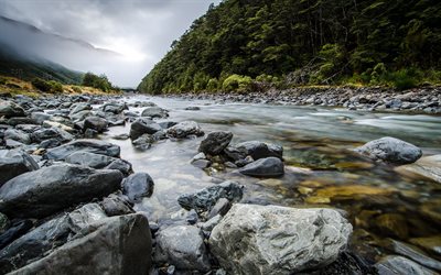 Bealey un río, un bosque, piedras, Nueva zelanda