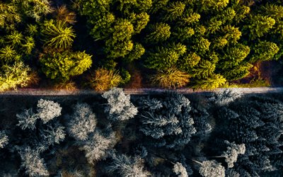 aerial view, summer vs winter, road, forest, green trees, frozen trees, beautiful nature, ecology, winter, summer