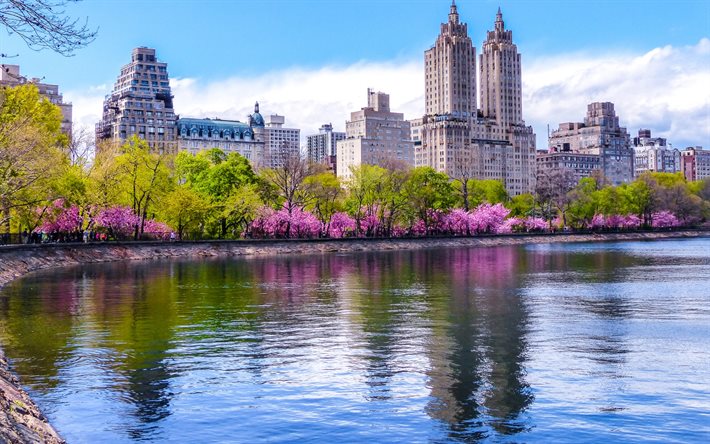 中央公園, 春, 春の花, 米国, ニューヨーク