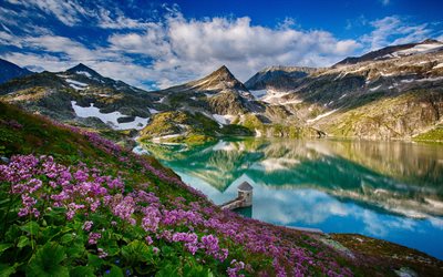 Weissee Glaciar, el lago de montaña, el verano, las montañas, las flores, Austria
