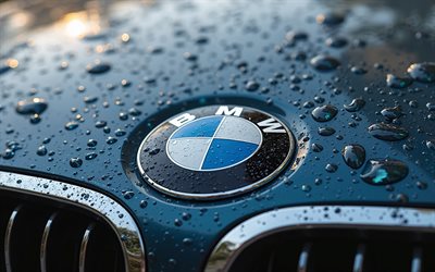 bmw  logo, 4k, autot tuotemerkit, vesipisarat, märkä huppu, taideteos, brändien logo, bmw, tuotemerkit, bmw realistinen logo