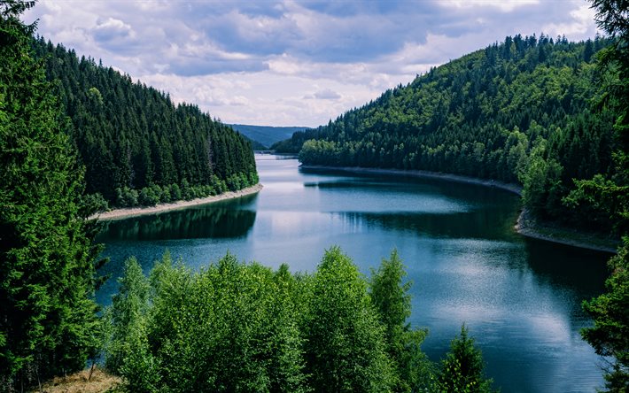 almanya'nın yeşil kalbi, 4k, orman, yaz, nehir, güzel doğa, türindia, almanya, avrupa