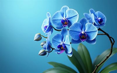 blue 3d orchids, vase with blue orchids, 3d art, orchids, blue orchids, tropical flowers, background with blue orchids, blue flowers