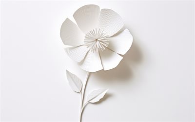 flor 3d blanca, 4k, mínimo, fondos florales, flores 3d, flor blanca, minimalismo de flores