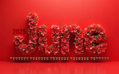 calendario 2025 de junio, 4k, letras florales rojas, junio ​​de 2025, calendarios de verano, fondos rojos, calendario de junio de 2025, flores rojas en 3d, letras 3d rojas, 2025 conceptos, calendarios de junio, 2025 calendarios, junio