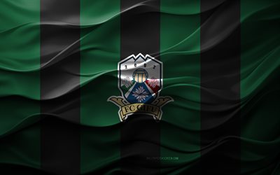 4k, fc gifu 로고, 녹색 검은 색 3d 배경, j3 리그, fc gifu emblem, 일본 축구 팀, fc gifu 플래그, 3d 텍스처, 일본, fc gifu, 축구, gifu