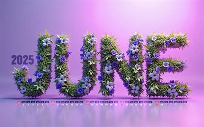 calendario 2025 de junio, 4k, cartas floral violetas, junio ​​de 2025, calendarios de verano, antecedentes violetas, calendario de junio de 2025, violet 3d flores, violet 3d cartas, 2025 conceptos, calendarios de junio, 2025 calendarios, junio
