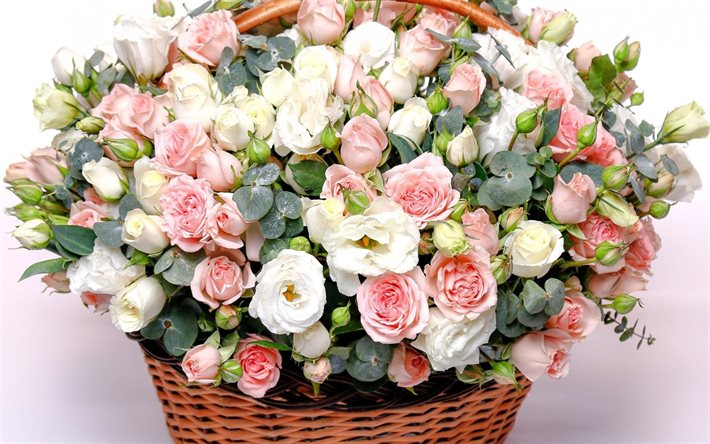 cesto di fiori, rose rosa, rose bianche, cesto di rose, grande mazzo di rose, rose, sfondo con rose, fiori rosa