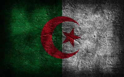 4k, 알제리 국기, 돌 질감, 알제리의 국기, 알제리의 날, 돌 배경, 그런지 아트, 알제리 국가 상징, 알제리, 아프리카 국가