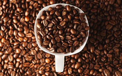 कॉफ़ी के बीज, कॉफ़ी का कप, कॉफी बीन्स शीर्ष दृश्य, कॉफी अवधारणा, कॉफी की फलियाँ, सफेद कप, एक कप में कॉफी बीन्स