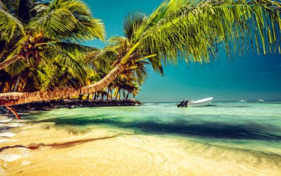 4k, tropical islands, palm trees over water, evening, beach, summer travel, tourism, palm trees, summer