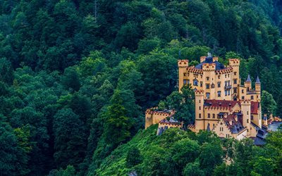 baviera, castelo hohenschwangau, alemanha, montanhas, floresta