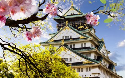 park, sakura, japanskt slott, japan
